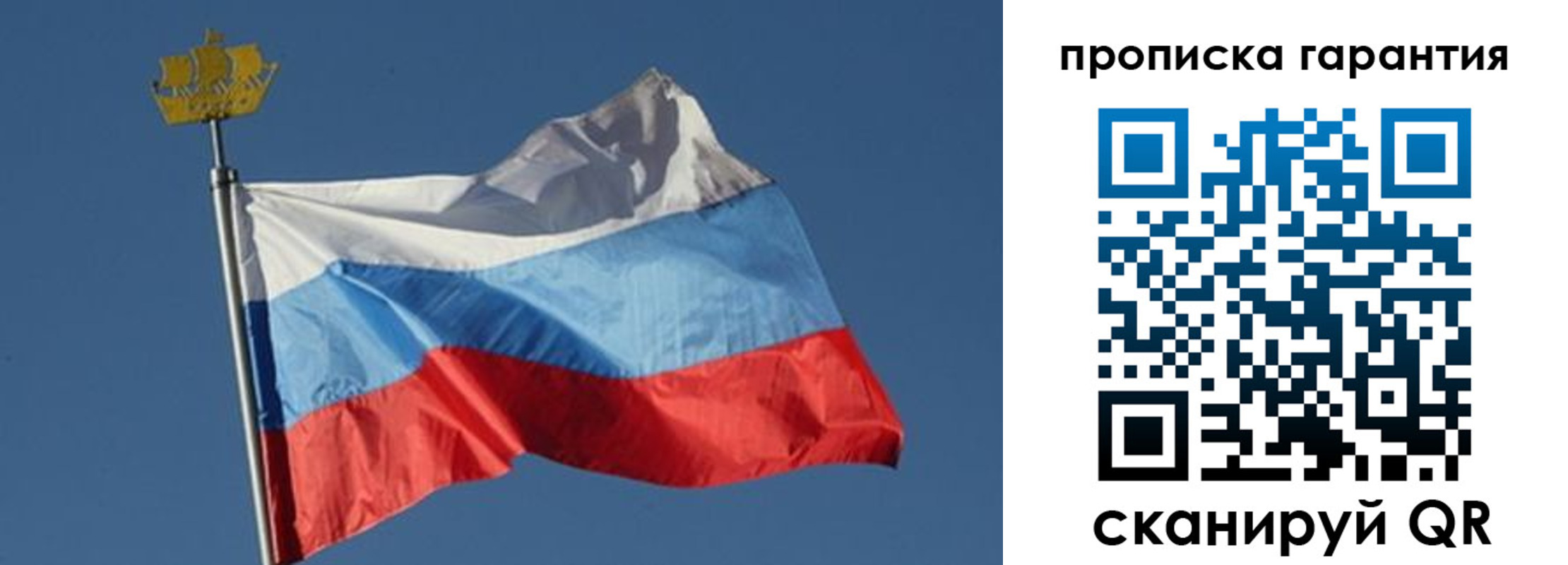 прописка для работы в Бабаево